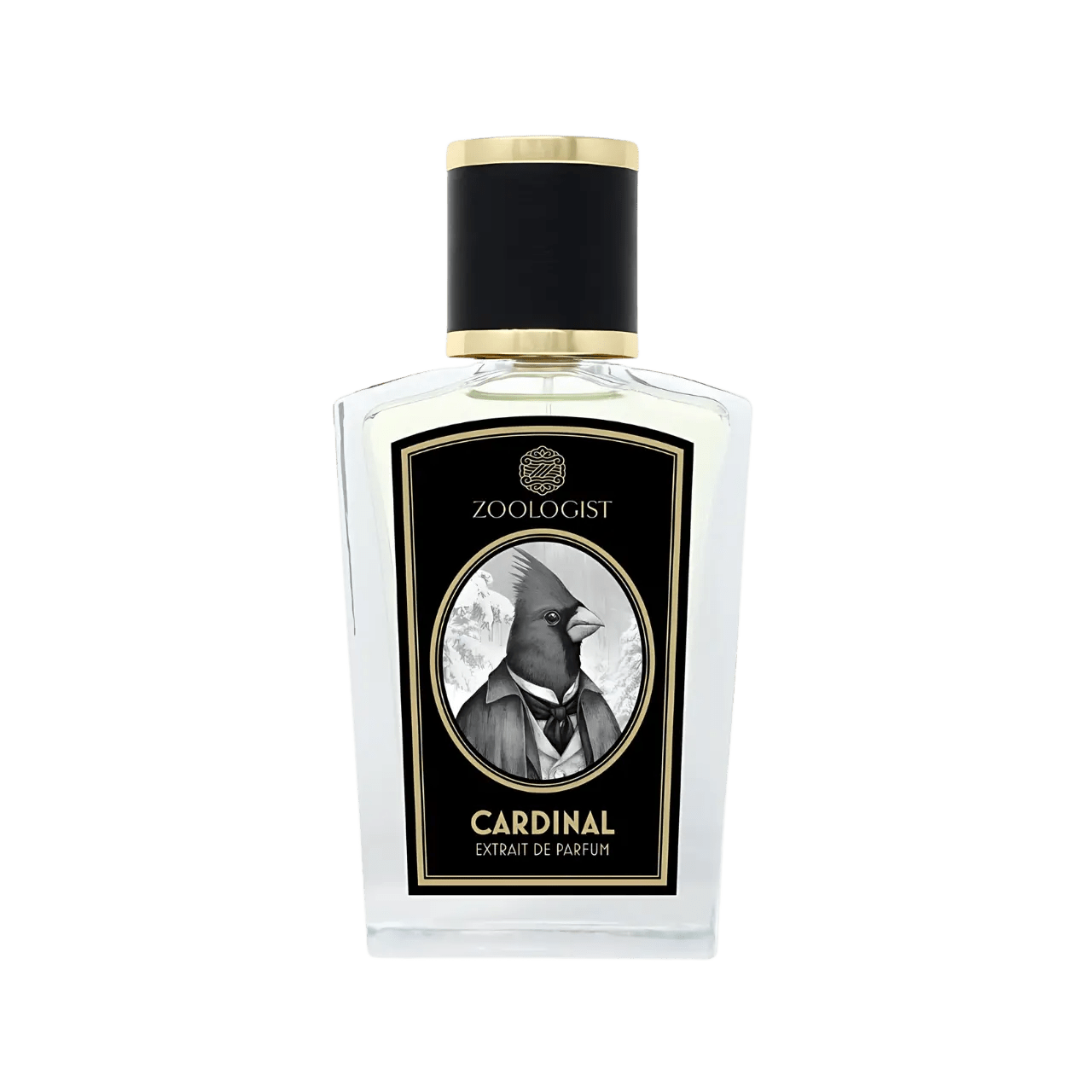 Zoologist Cardinal Deluxe - Maison VELORÉ