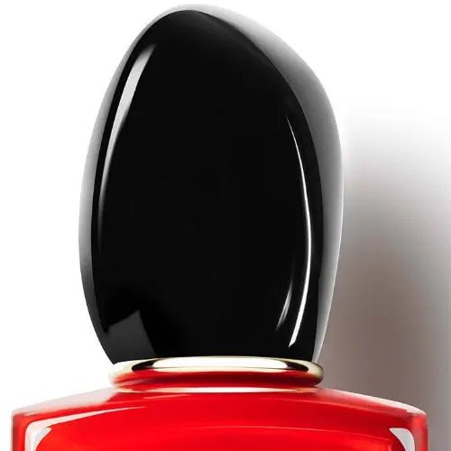 Giorgio Armani Si Passione Eau De Parfum - Maison VELORÉ