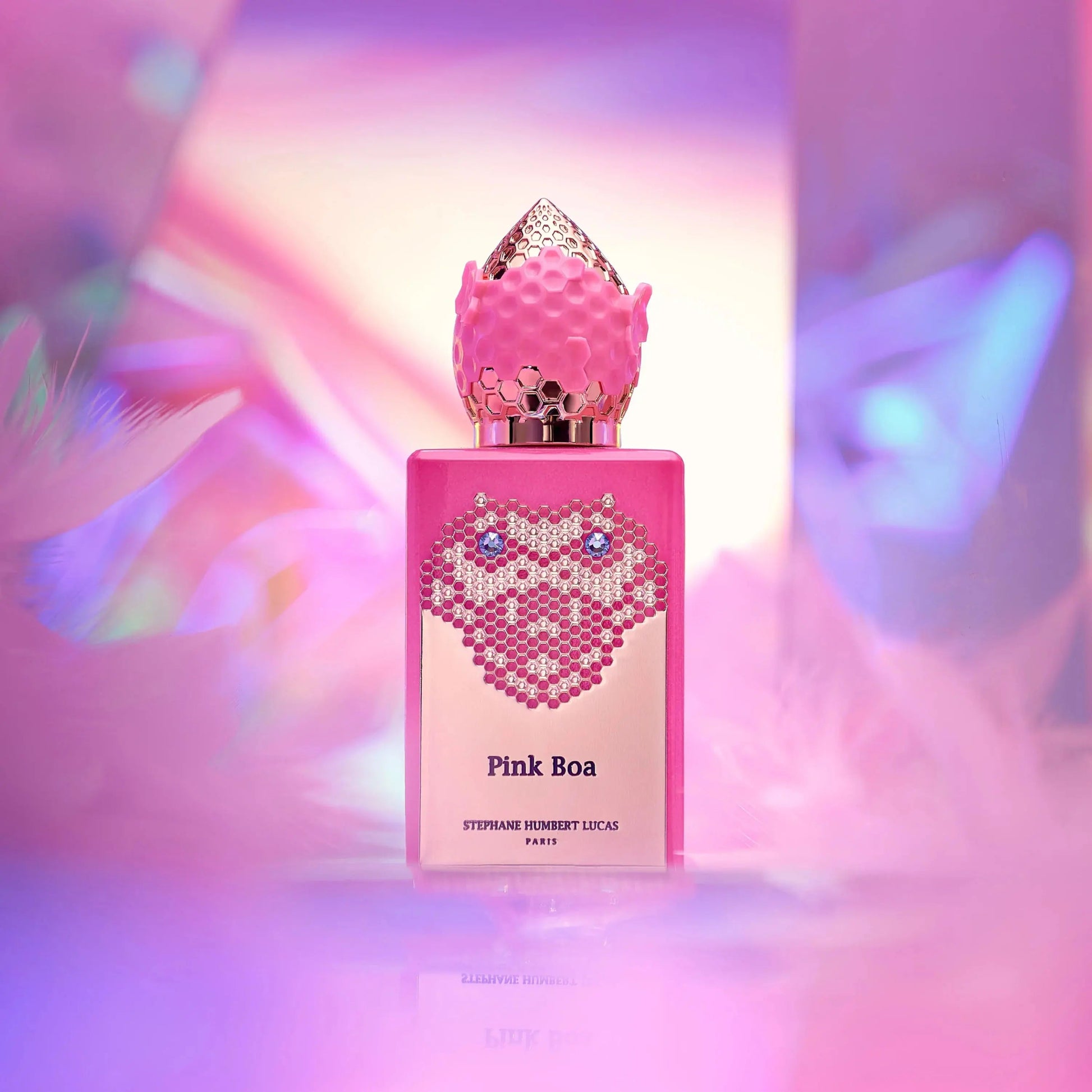 Stéphane Humbert Lucas Pink Boa - Maison VELORÉ