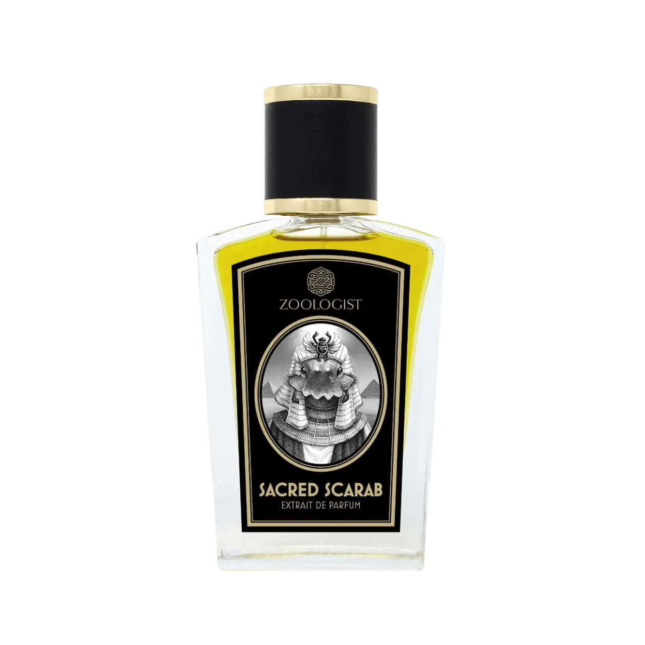 Zoologist Sacred Scarab - Maison VELORÉ